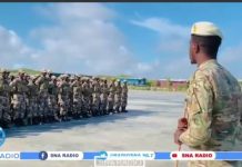 Taliye Mustafe: Cadowga Soomaaliyeed innaga ayaa ku filan