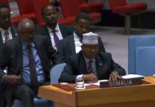 Wasiir Fiqi oo khudbad ka jeediyay shirka Golaha Ammaanka ee QM