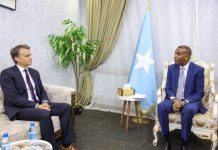 Ra’iisul wasaare Xamse oo qaabilay Ergayga Gaarka ah ee Jarmalka u qaabilsan geeska Afrika