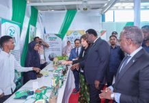 Ra’iisul wasaare ku xigeenka dalka oo so xiray shirweynaha Beeraha Soomaaliya