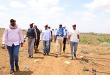 Wafdi Ka socda DFS iyo QM oo Booqday Mashaariicda Sanduuqa Wadajirka ee Ka Socda Baydhabo