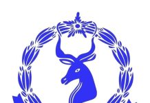 Taliska Booliska oo faahfaahin ka bixiyay naftii halige isku qarxiyay goob lagu harsado