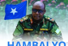 Taliyaha Ciidanka Xoogga Dalka oo umadda Soomaaliyeed ugu hambalyeeyay maalinta Calanka