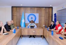 Guddoomiyaha SoDMA oo qaabbilay qaar ka mid ah madaxda hayโadaha samafalka ee Turkiga