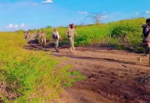 Ciidamka xoogga dalka oo hawlgal ka fuliyey gobollada Baay iyo Bakool