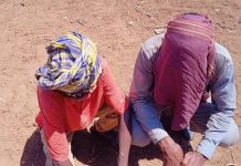 Howlgal lagu soo qabtay xubno katirsan khawaarijta oo ka dhacay Gobalka Baay