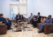 Wasiir dowlaha wasaaradda arrimaha dibadda oo qaabilay wakiilka Jarmalka ee geeska Afrika