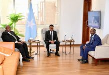 Ra’iisul Wasaare ku xigeenka labaad oo Qaahira loogu sameeyay kulan casho sharaf ah