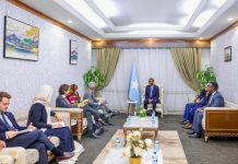 Ra’iisal wasaare Xamse oo qaabilay wafdi ka socda Midowga Yurub