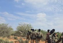 Ciidanka Xoogga dalka oo howlgallo Khawaarijta ka dhan ah ka wado deegaanno hoostaga Shabeellaha Dhexe iyo Galgaduud