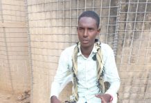 Xubin ka tirsanaa Khawaarijta oo isku soo dhiibay Ciidamada Qaranka