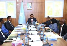 DF oo shacabka iyo ganacsatada Soomaaliyeed uga digtay la macaamilka argagixisada