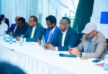 Latashiyada soo-Jeedinta Waxkabadelka Dastuurka oo la gaarsiiyay Soomaalida kunool Qurbaha