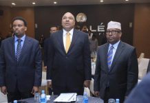 Wasaaradda arrimaha dibadda oo soo dhaweyn u samaysay wafdi ka socda Tanzania