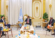 Madaxweynaha JFS oo la kulmay Ergeyga Gaarka ah ee Shiinaha u qaabilsan Geeska Afrika