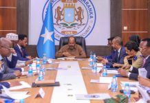 Madaxweynaha JFS oo digniin adag ka soo saaray maalgelinta argagixisada