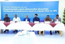 Shir looga hadlayo wada-shaqeynta xafiisyada Hantidhowrka Guud ee Qaranka oo ka furmay Muqdisho