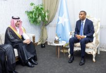 Ra’iisul Wasaare Xamsa oo qaabbilay maamulaha guud ee Sanduuqa Horumarinta Sucuudi Carabiya