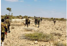 Puntland oo abaabul shacab iyo hawlgallo ka dhan ah khawaarijta ka wadda gobolka bari