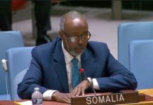 Soomaaliya oo Golaha Ammaanka ka hor caddeysay Mowqifkeeda Qaddiyadda Falastiin