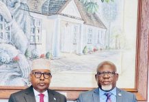 Soomaaliya iyo Afrikada dhexe oo ka wada hadlay xoojinta xiriirka labada dal