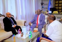 WASIIRKA WARFAAFINTA OO QAABILAY WAKIILKA MIDOWGA AFRIKA EE SOOMAALIYA