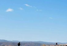 Ciidamada Puntland oo la wareegay fariisimihii Daacish ee gobolka Bari