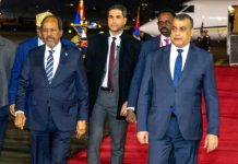 Madaxweynaha JFS oo booqasho rasmi ah ku tagay Masar