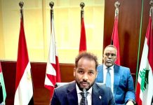 Wasiir ku-xigeenka Qorsheynta XFS oo ka qeybgalay Shirka Guddiga Sare ee Machadka Qorsheynta Carabta