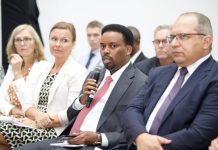 Safiir Ilyaas oo ka qayb galay kulanka diyaargarowga Shirka tamarta Afrika