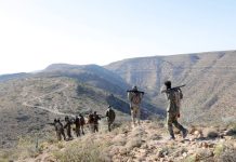 Ciidanka Daraawiishta Puntland oo Khawaariijta kala wareegay fariisimo muhiim u ahaa