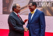 Madaxweyne Xasan Sheekh oo kulan doceedyo la qaatay madaxda ka qaybgashay shirka tamarta Afrika