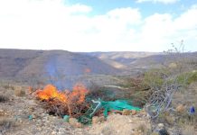 Ciidanka dowlad goboleedka Puntland oo burburiyay talisyo Daacish ku lahaayeen buuralayda Cal-miskaad