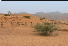 Puntlan iyo saaxiibada caalamka oo weeraray kooxda Daacish ee ku sugan Gobolka bari