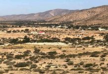 Daacish oo laga qabsaday taliskii ugu weynaa ee Tuursamaale