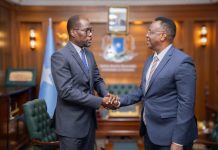 Wasiirka cadaaladda iyo Dastuurka oo la kulmay safiirka Sucuudiga