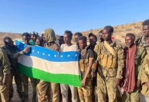 Ciidanka Daraawiishta Puntland oo gacanta ku dhigay Talis Khawaarijtu ku farsamayn jirtay hubka