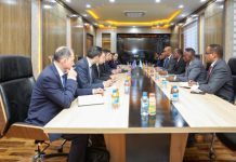 Soomaaliya iyo Azerbaijan oo iska kaashanaya horumarinta Tamarta