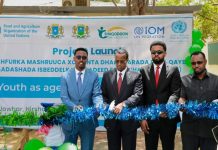 MADAXWEYNAHA HIRSHABEELLE OO DAAH-FURAY MASHRUUCA DHALLINYARADA IYO NABADDA