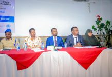 Aqoon-isweydaarsi muhiim ah oo Muqdisho uga furmay xafiisyada warfaafinta hayโadaha DF