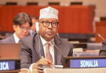 Wasiirka Arrimaha Dibadda XFS oo ka qeybgalaya kulan hordhac u ah shir madaxeedka Tansania