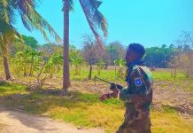 Hawlgal ka dhan ah Khawaarijta oo laga fuliyey Shabeelaha hoose