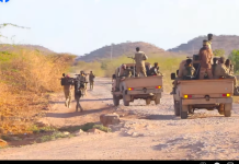 In ka badan 60-ka tirsan argagixisada Daacish oo lagu dilay Puntland