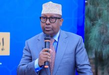 Wasiir Axmed Fiqi oo sheegay in Wasaaraddiisu xoojinayso wadashaqaynta ay la leedahay qurbajoogta