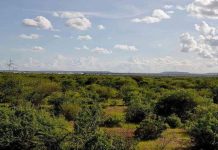 Ciidanka difaaca degmada Alkawsar oo dilay in ka badan 20 khawaarij ah