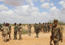 Ciidanka xoogga dalka oo howlgal ka sameeyay deegaanka Geel-gub