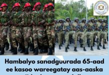 Guddoomiyaha Golaha Shacabka oo Ciidamada Xoogga dalka ugu hambalyeeyey sanadguurada 65-aad