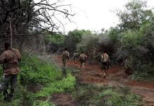 Ciidamada difaaca deegaanka oo xalay howlgal ka fuliyey howdka Ciid-ciidka ee degmada Mahadaay