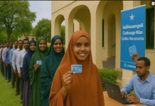 Diiwaangalinta Cod-bixiyeyaasha Golaha Deegaanka oo maanta Muqdisho ka billaabaneysa