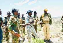 Ciidamada Daraawiishta Puntland oo fuliyay howlgal lagu laayay kooxda Daacish